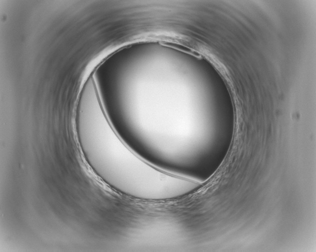 X0000087740960200705070923