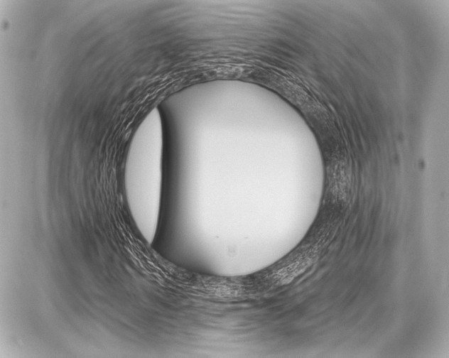 X0000087740962200705070922