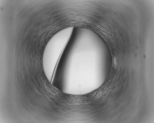 X0000087740963200705070922