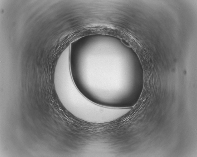X0000087740965200705070922