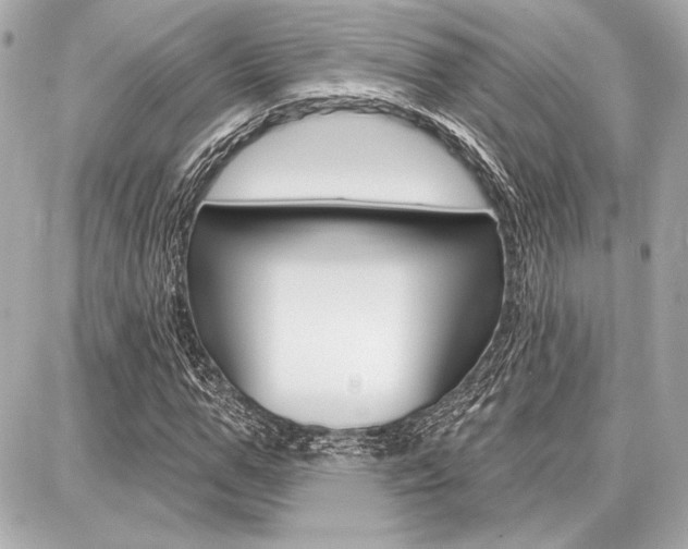 X0000087740967200705070922