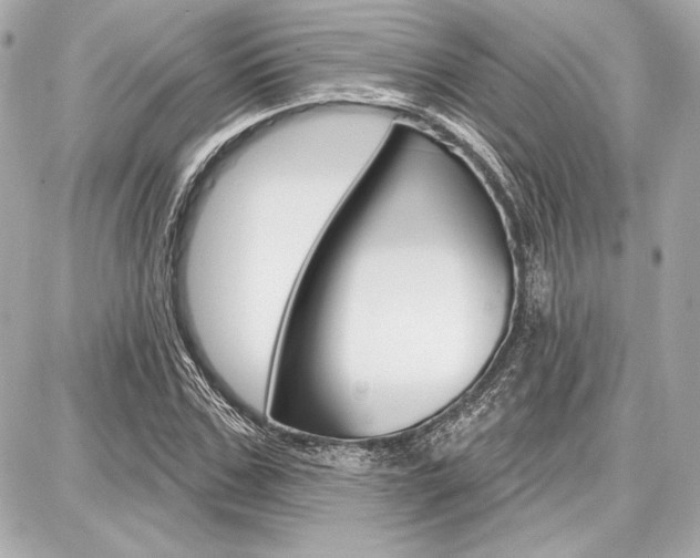 X0000087740971200705070922