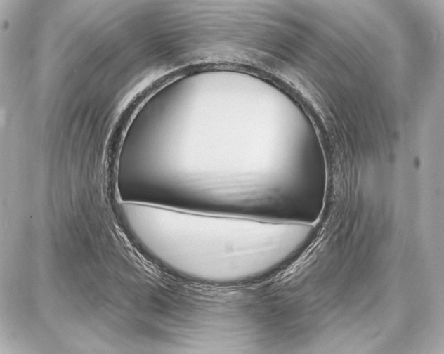X0000087740975200705070922