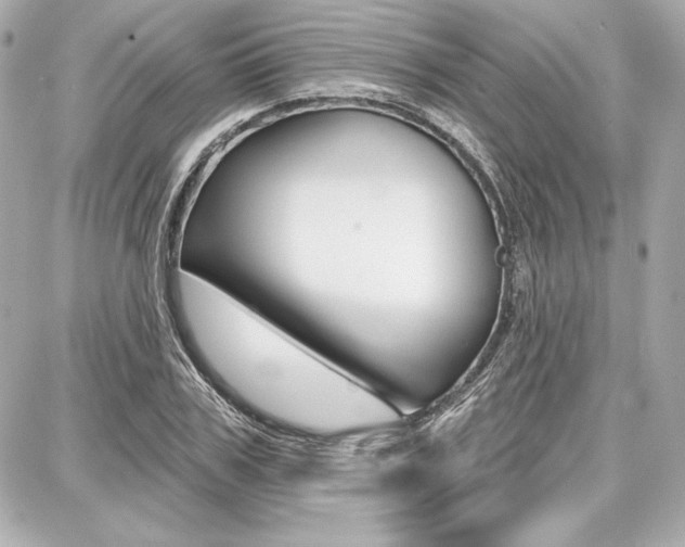 X0000087740979200705070922