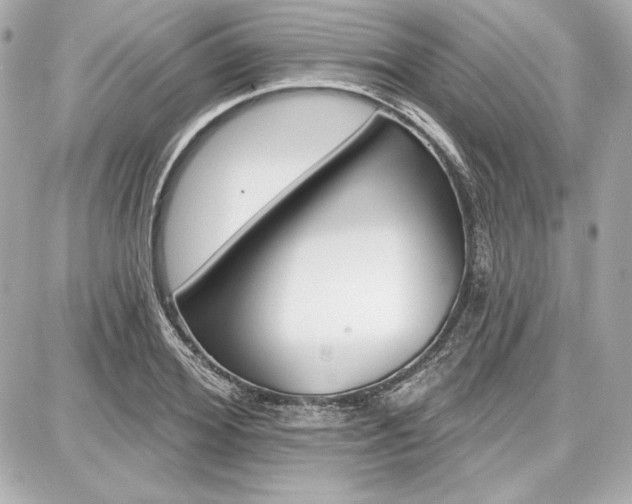 X0000087740980200705070922