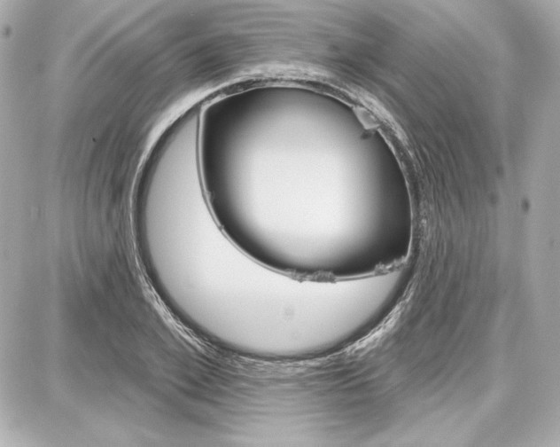 X0000087740981200705070922