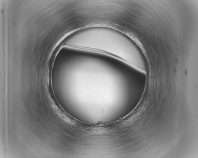 X0000087740984200705070922
