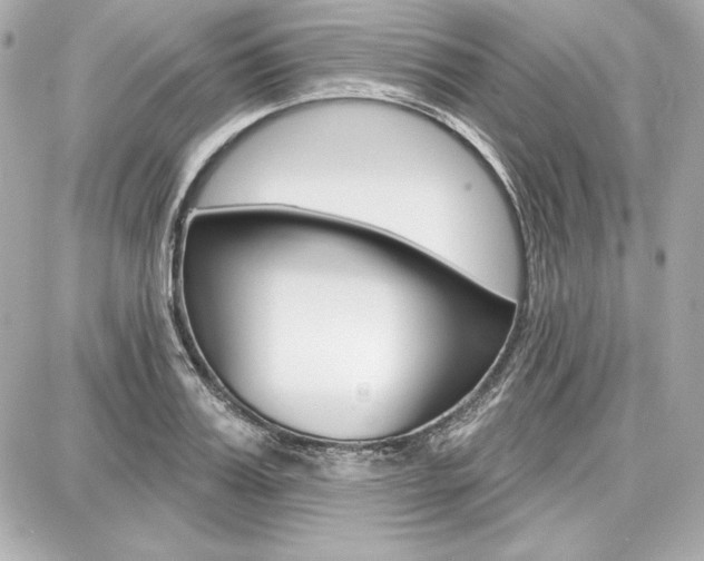 X0000087740987200705070922