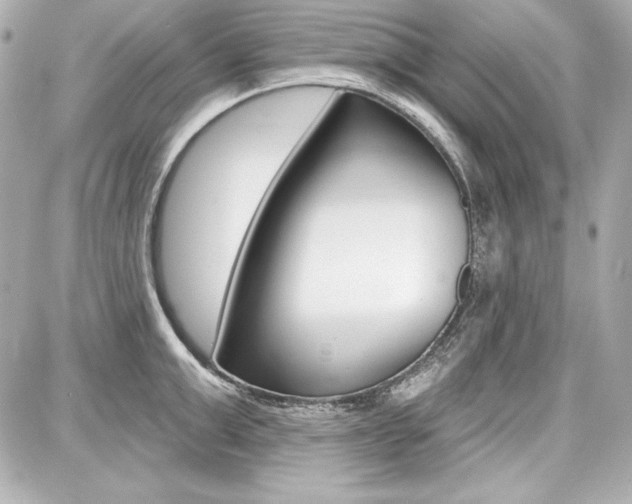 X0000087740999200705070922