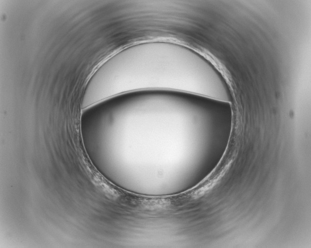 X0000087741001200705070922