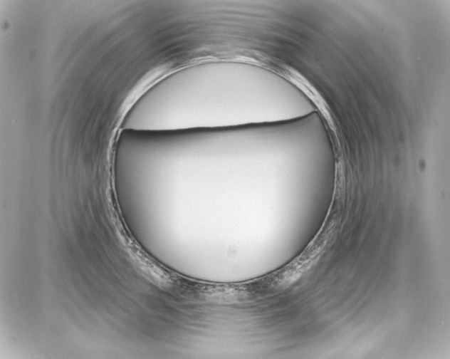 X0000087741002200705070922