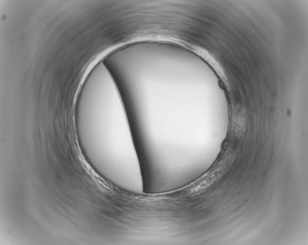 X0000087741004200705070922
