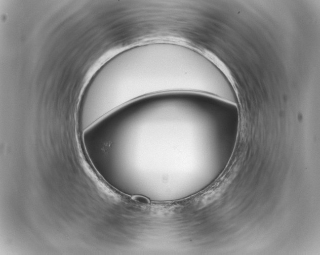 X0000087741005200705070922