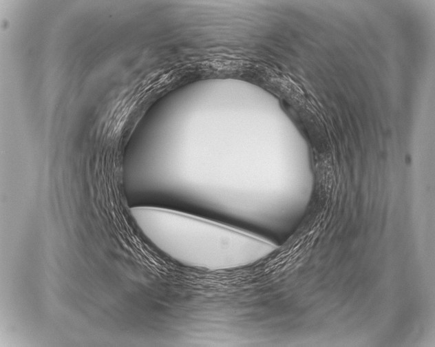 X0000087741009200705070921