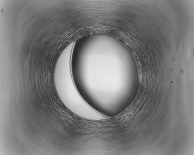 X0000087741010200705070921