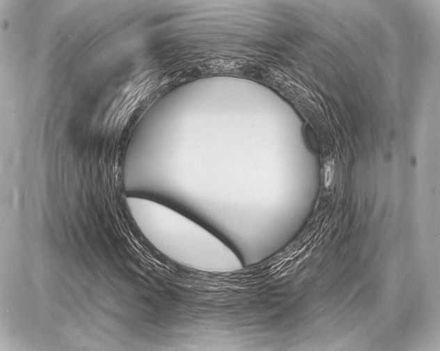 X0000087741011200705070921
