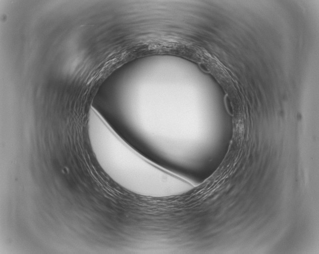 X0000087741012200705070921