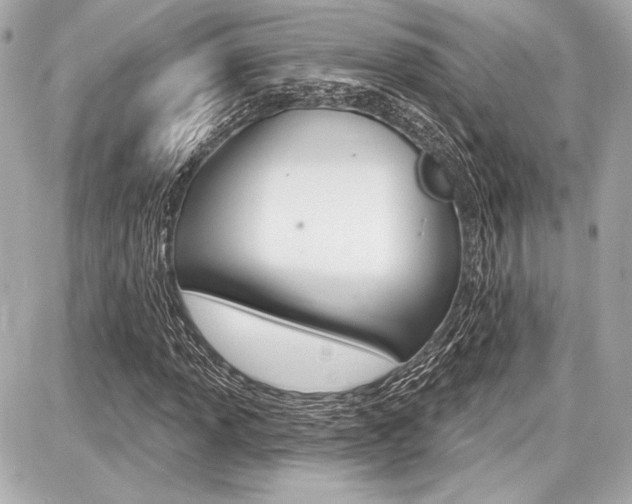 X0000087741013200705070921