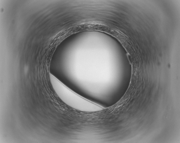 X0000087741014200705070921