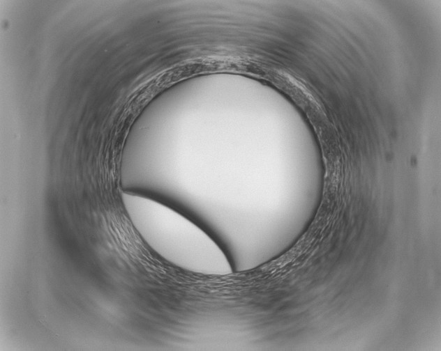 X0000087741015200705070921