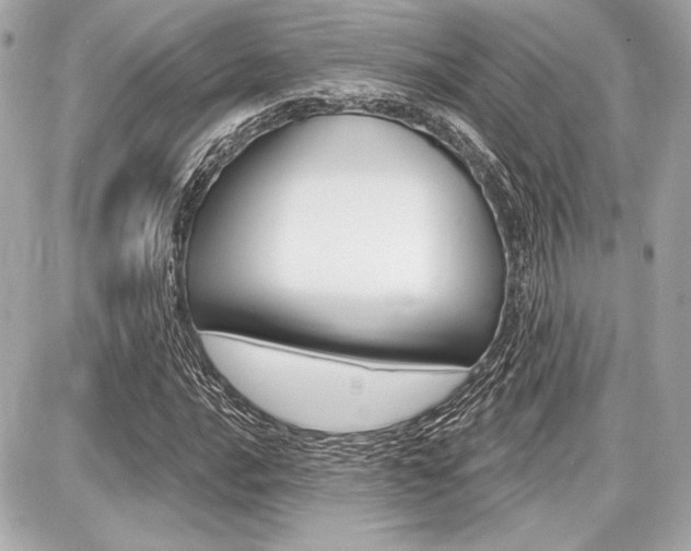 X0000087741016200705070921