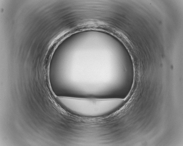X0000087741018200705070921