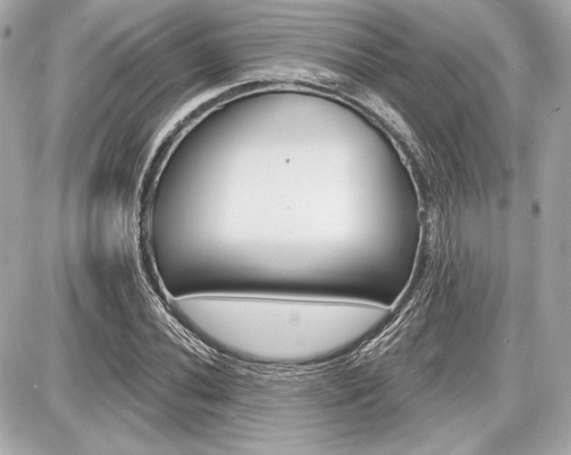 X0000087741020200705070921