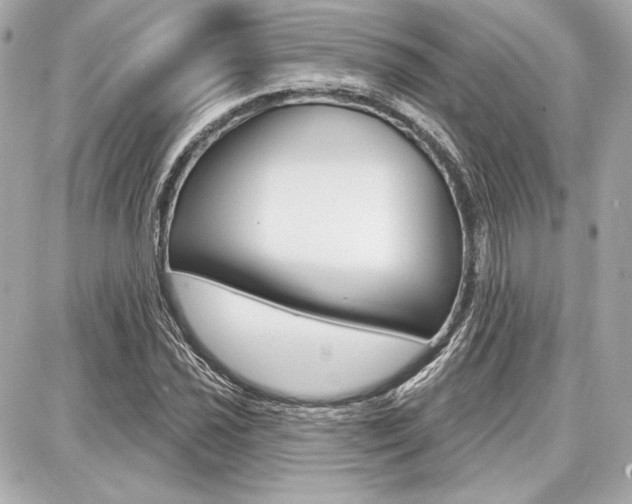 X0000087741021200705070921
