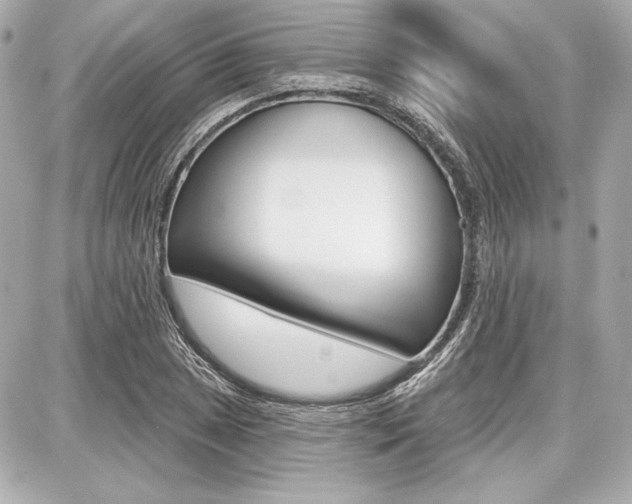 X0000087741025200705070921
