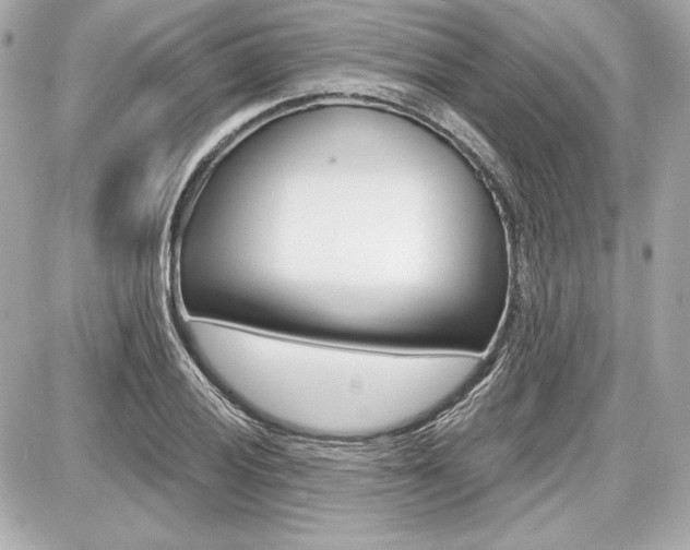 X0000087741028200705070921