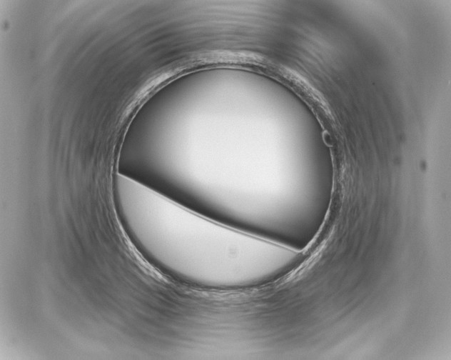 X0000087741033200705070921