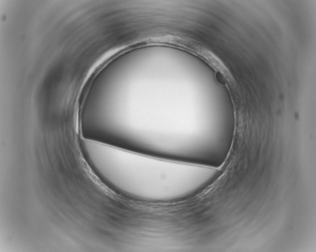 X0000087741036200705070921