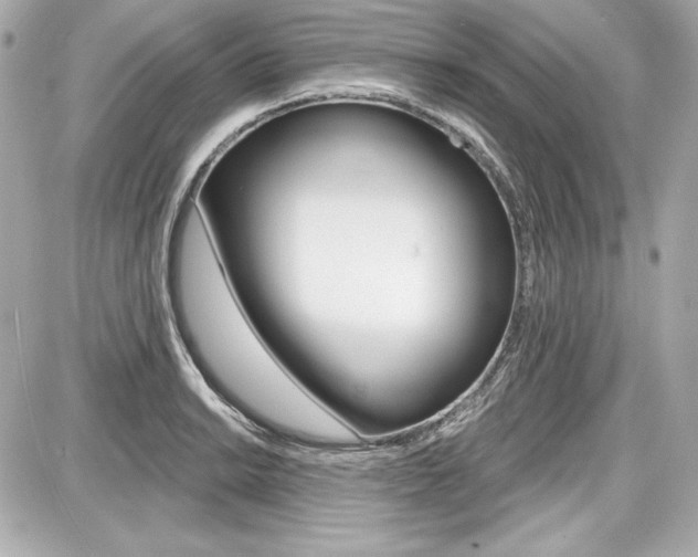X0000087741038200705070921