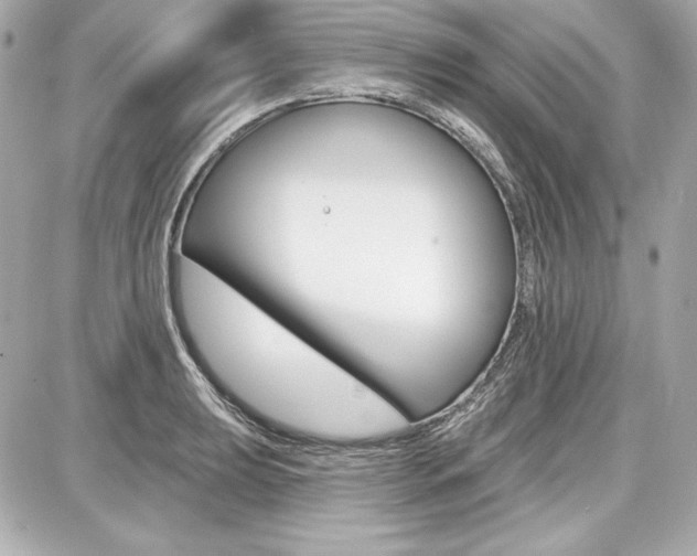 X0000087741039200705070921