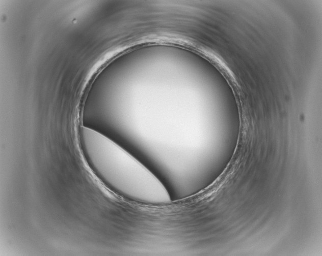 X0000087741040200705070921