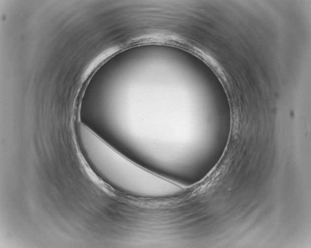 X0000087741042200705070921