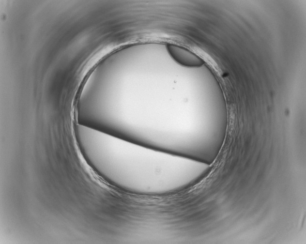 X0000087741047200705070921