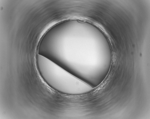 X0000087741048200705070921