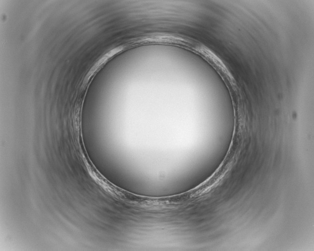 X0000087741049200705070921
