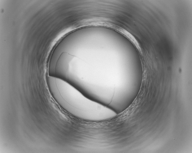 X0000087741051200705070921
