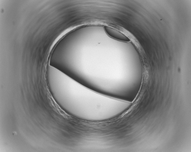 X0000087741052200705070921