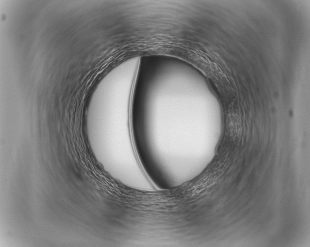 X0000087741057200705070921
