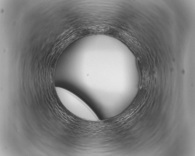 X0000087741058200705070921