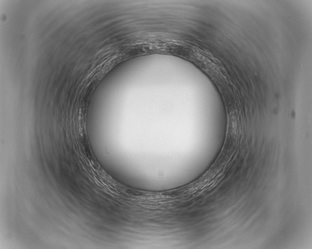 X0000087741060200705070921
