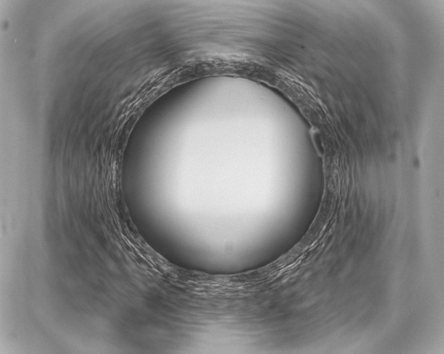 X0000087741061200705070921