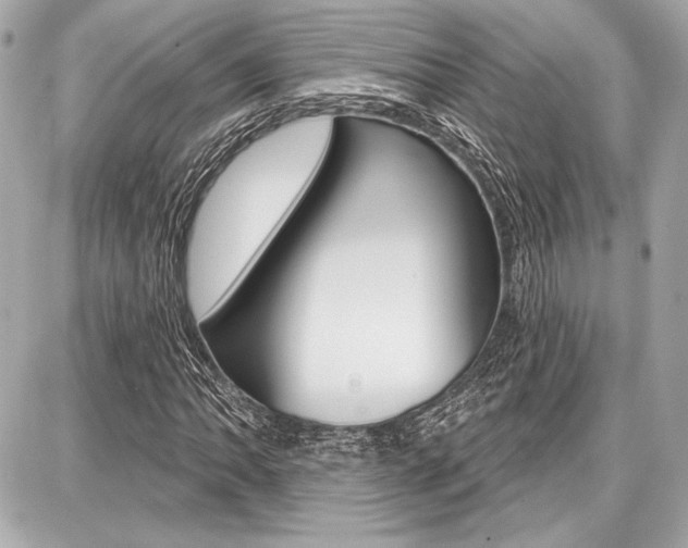 X0000087741062200705070921
