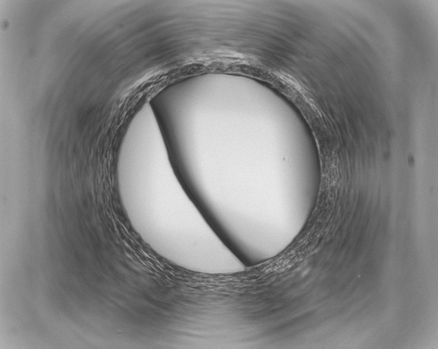 X0000087741063200705070921