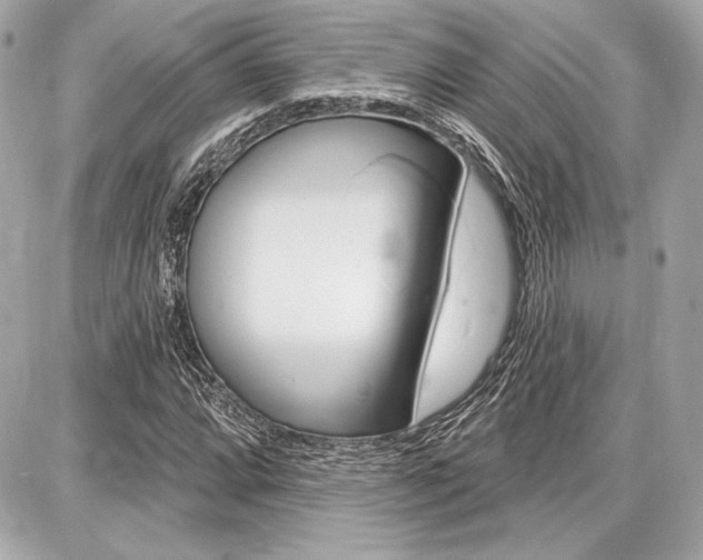 X0000087741064200705070921