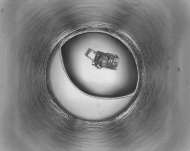 X0000087741065200705070921