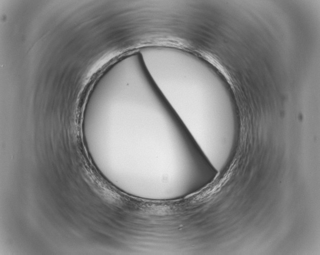 X0000087741071200705070921